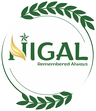 Nigal Events